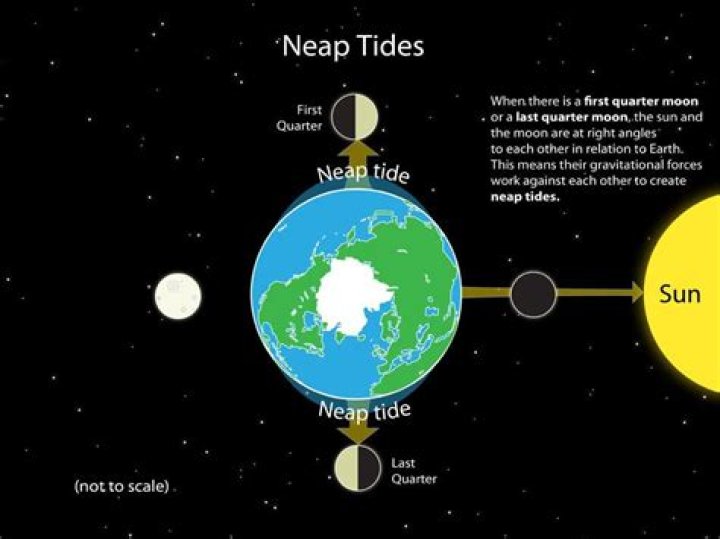 Is neap tide high or low?